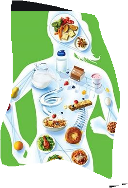 Protection against obesity : food and nutrition in Europe
