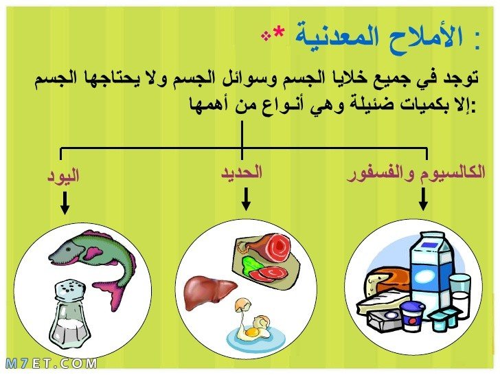 Mineral salts and their benefits for the body and their importance for each organ Mineral 2 Picture No. 3 Mineral salts