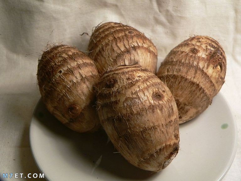What are the most important benefits of taro taro picture number 2 Taro benefits